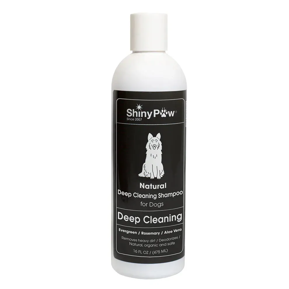 Shiny Paw Deep Cleaning Evergreen Aloe Vera & Rosemary Shampoo for Dogs (16 oz)